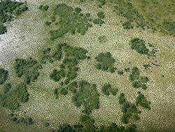 Aerial of non-sorted circles