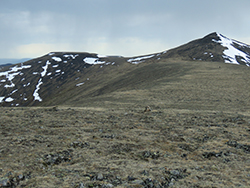 Cryoplanation terraces