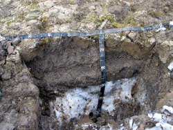 Soil pit